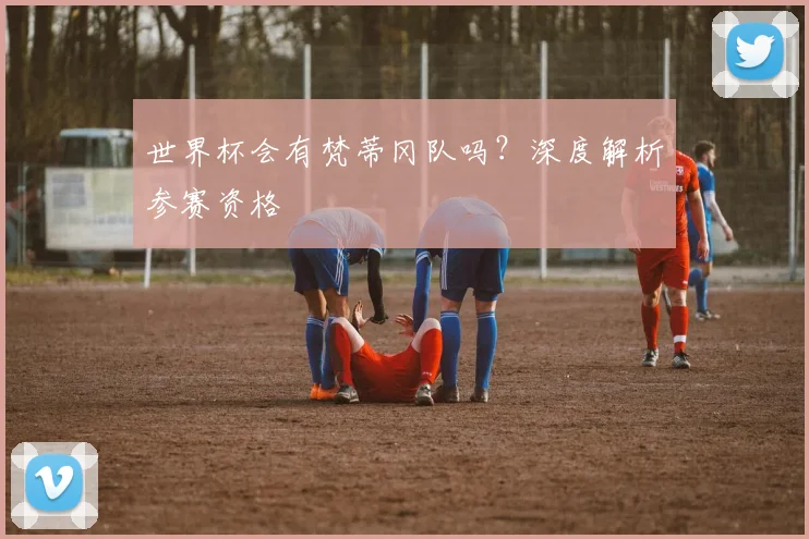 世界杯会有梵蒂冈队吗?深度解析参赛资格