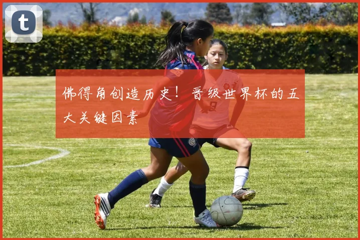 佛得角创造历史!晋级世界杯的五大关键因素
